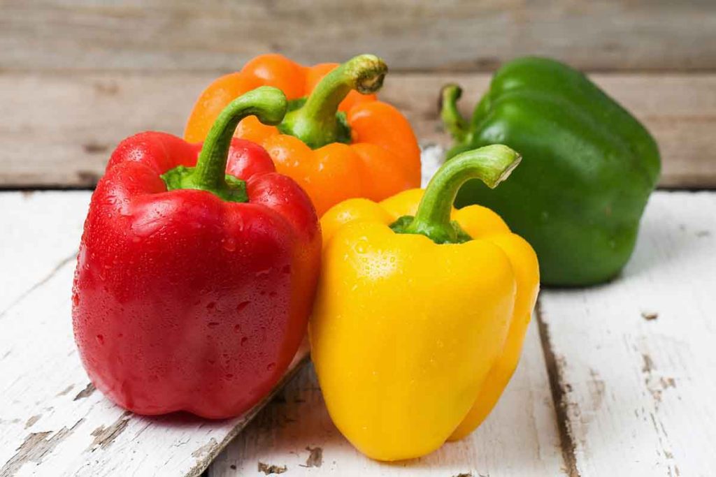 فلفل دلمه ای
