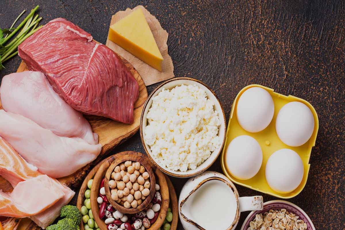 بهترین لیست غذاهای پروتئین دار برای لاغری را بشناسید؟